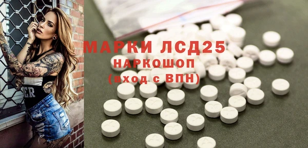 стаф Баксан