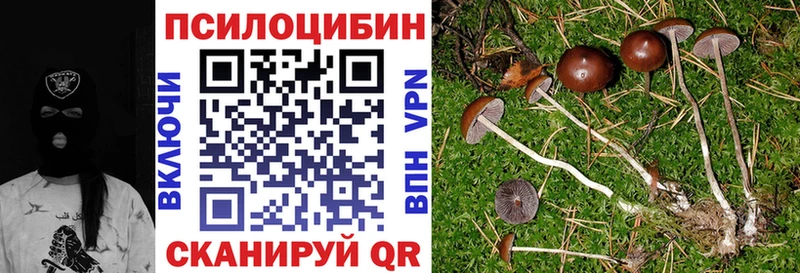 продажа наркотиков  Данилов  hydra сайт  Галлюциногенные грибы MAGIC MUSHROOMS 